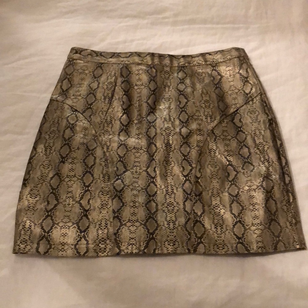Ladakh Snake Mini Skirt